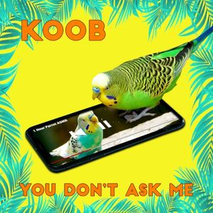 You Don't Ask Me (Single)
