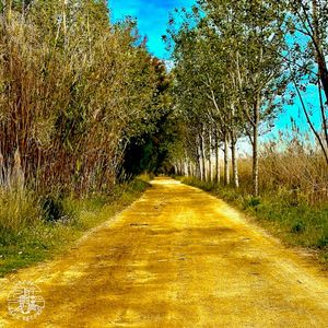 Second Nature (Single)