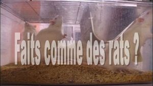 Faits comme des rats ?