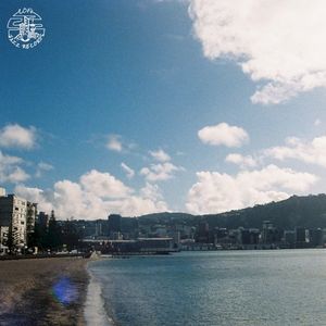 New Lines (Single)