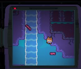 image-https://media.senscritique.com/media/000022921639/0/chunky_jump.jpg