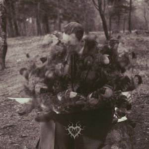 Klarhet i kaos (Single)