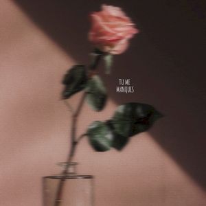 Tu me manques (Single)