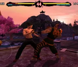 image-https://media.senscritique.com/media/000022923295/0/bruce_lee_dragon_warrior.webp