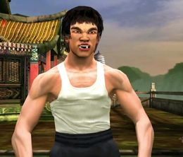 image-https://media.senscritique.com/media/000022923298/0/bruce_lee_dragon_warrior.jpg