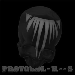 PROTOKOL - H - - S