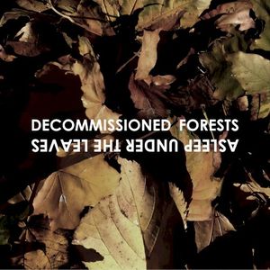 Asleep Under the Leaves (Single)