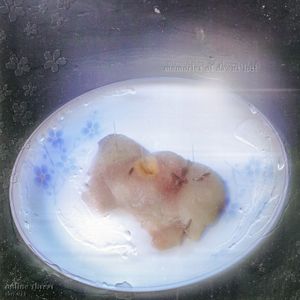 Memories of Dawns Lost (Single)