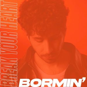 Break Your Heart (Single)