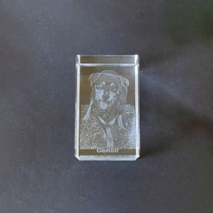 For Gambit (Single)