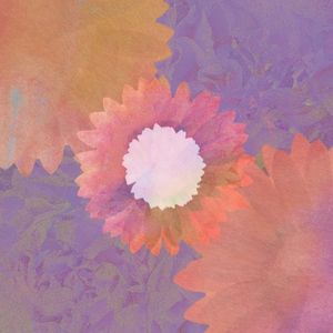 The Eternal Flowers (Single)