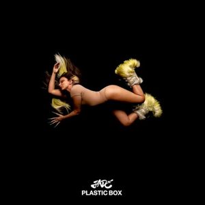 Plastic Box (Single)