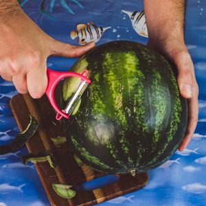 Giornata tipo (Single)