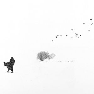 On the nature of things