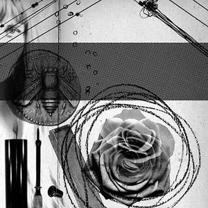 Elemental Part Three: Rose (EP)