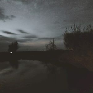 Echoes of a Fading Existence