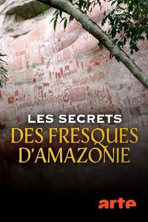 Les secrets des fresques d’Amazonie