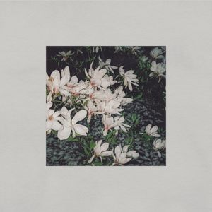 The Mess We Made (Single)