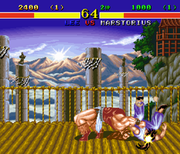 image-https://media.senscritique.com/media/000022932951/0/fighter_s_history.png