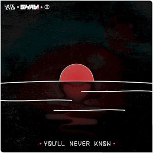YØU'LL NEVER KNØW (Single)