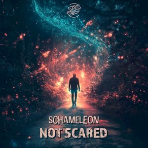 Not Scared (Single)
