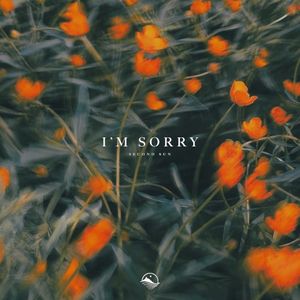 I’m Sorry (Single)