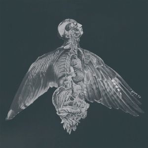 Til Vinden I Dine Øjne