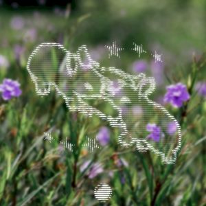 Hold Me (Single)
