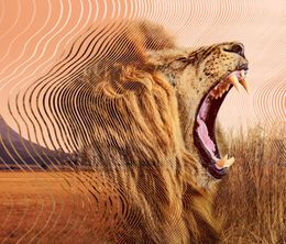 image-https://media.senscritique.com/media/000022937306/0/le_monde_secret_des_sons_avec_david_attenborough.jpg