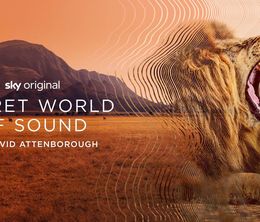 image-https://media.senscritique.com/media/000022937307/0/le_monde_secret_des_sons_avec_david_attenborough.jpg