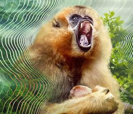 image-https://media.senscritique.com/media/000022937308/0/le_monde_secret_des_sons_avec_david_attenborough.jpg