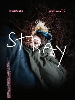 Stray