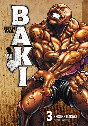 Hanma Baki: Son of Ogre (Perfect Edition), tome 3