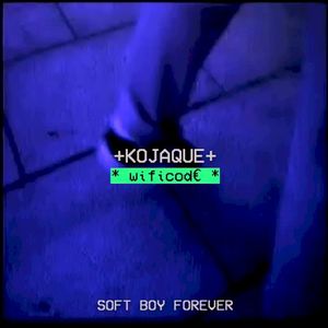 WiFicode (Single)
