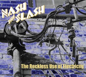 The Reckless Use of Electricity
