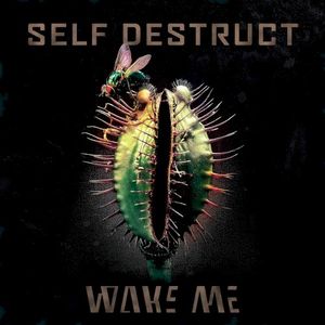 Self Destruct (Single)