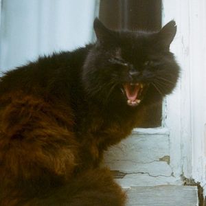 sad all the time (Single)