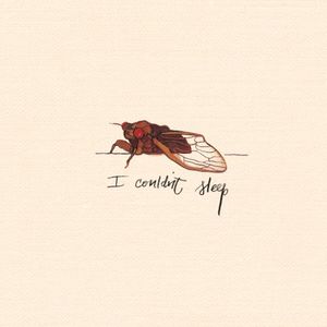 I Couldn't Sleep (Single)