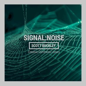 Signal to Noise (Single)