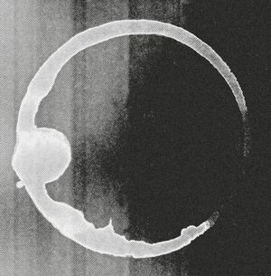 5-Way-Split (EP)