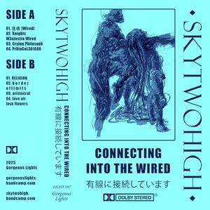 ＣＯＮＮＥＣＴＩＮＧ ＩＮＴＯ ＴＨＥ ＷＩＲＥＤ