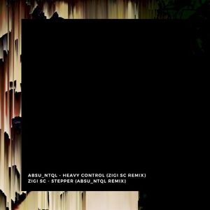Heavy Control / Stepper Remixes