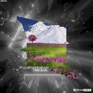 Ethnic Gleam EP (EP)