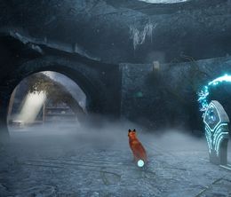 image-https://media.senscritique.com/media/000022949164/0/spirit_of_the_north_2.jpg