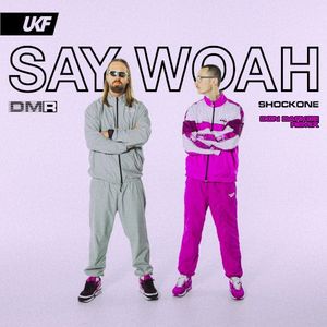Say Woah (DON DARKOE remix)