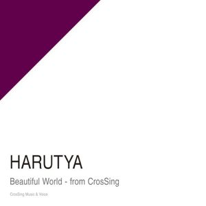 Beautiful World - From CrosSing (Single)