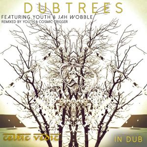 Celtic Vedic In Dub