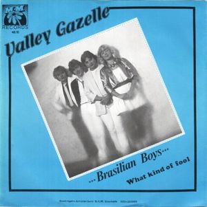 Brasilian Boys (Single)