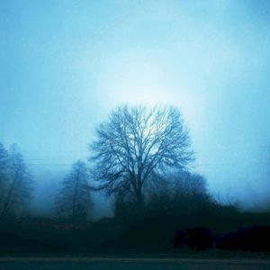 Midnight Love (Single)