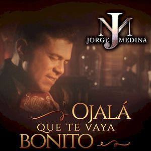 Ojalá Que Te Vaya Bonito (Single)